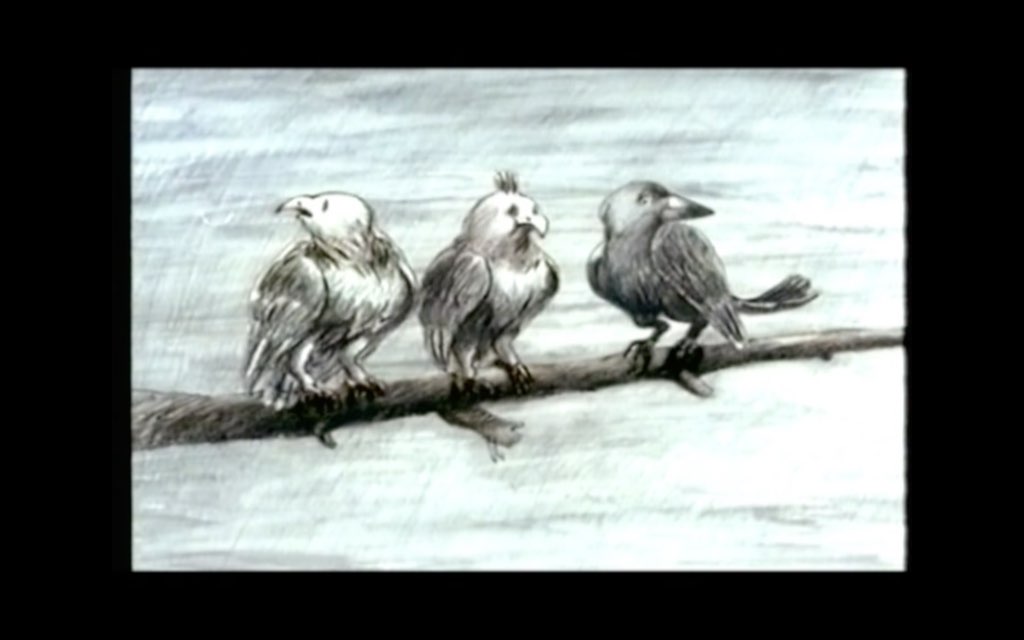 YENİ YÜZYIL Kuşlar reklam filmi